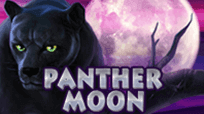 Panther Moon