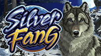 Silver Fang