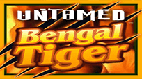 Untamed Bengal Tiger