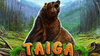 Taiga